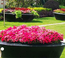 校園景觀設(shè)計需要把握好哪幾項因素