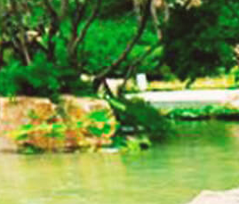 公園景觀設(shè)計如何做好綠化工作