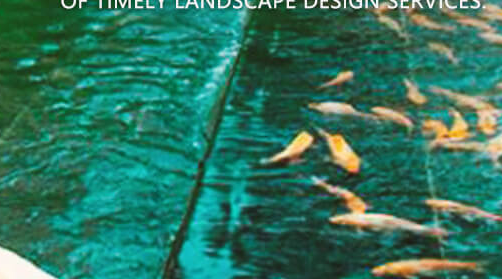 蘇州校園景觀設計?需要堅持的原則